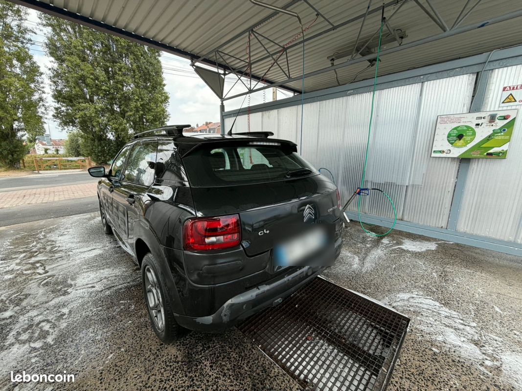 Citroen c4 cactus (image 2)