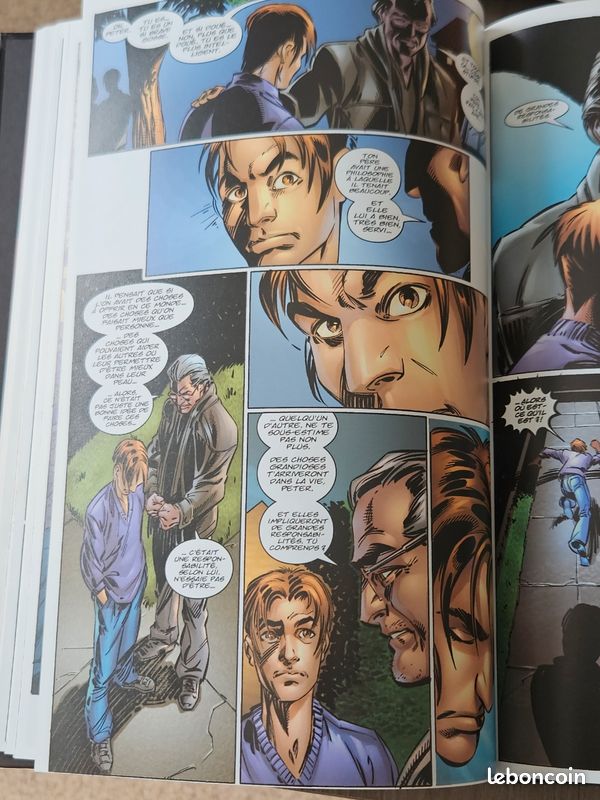 Spider-Man (image 5)