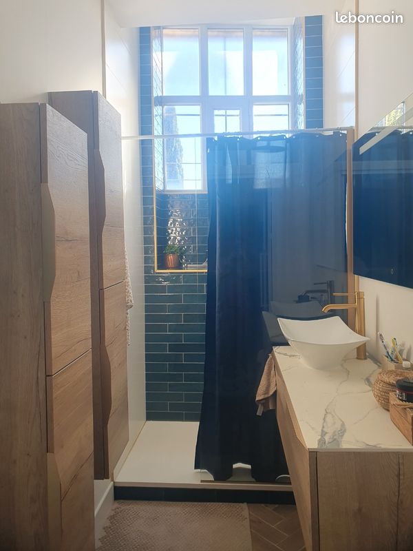 Location appartement haussmanien 6 personnes (image 9)