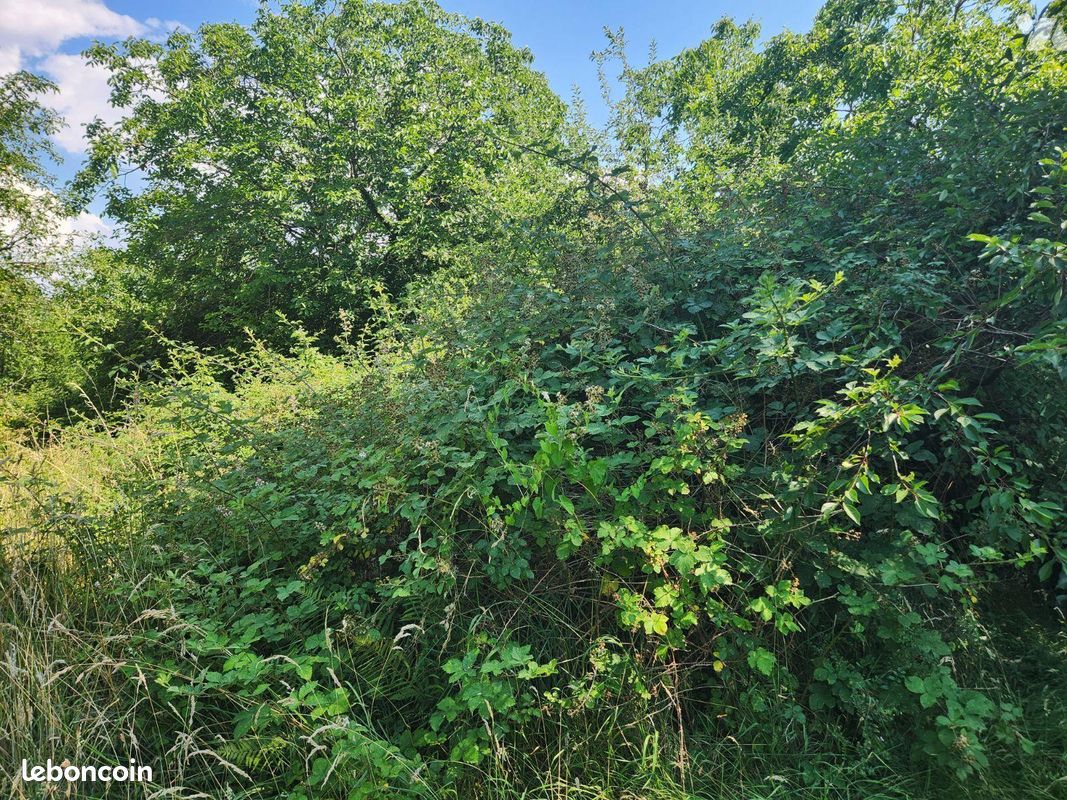 Terrain 3310 m² · à Géraudot · 3 310 m² · 33 100 €