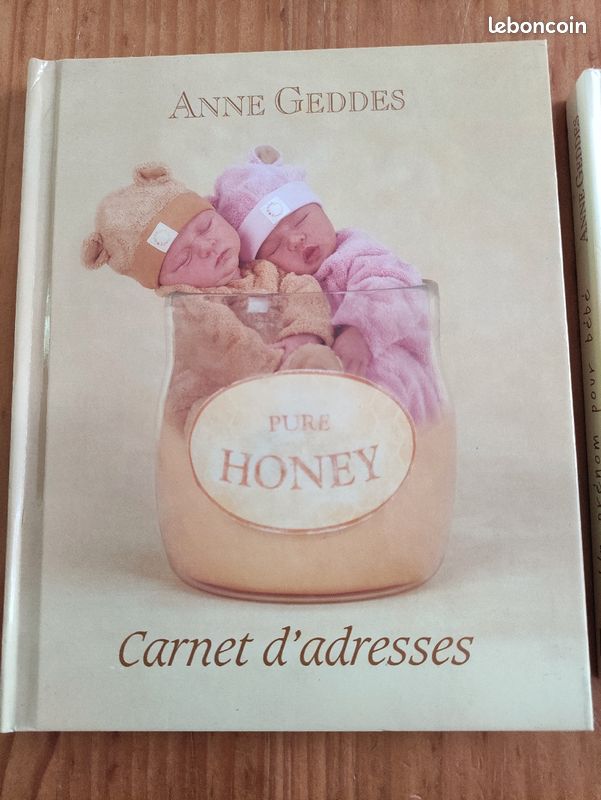 Livres Anne Geddes lot de 2 (image 2)