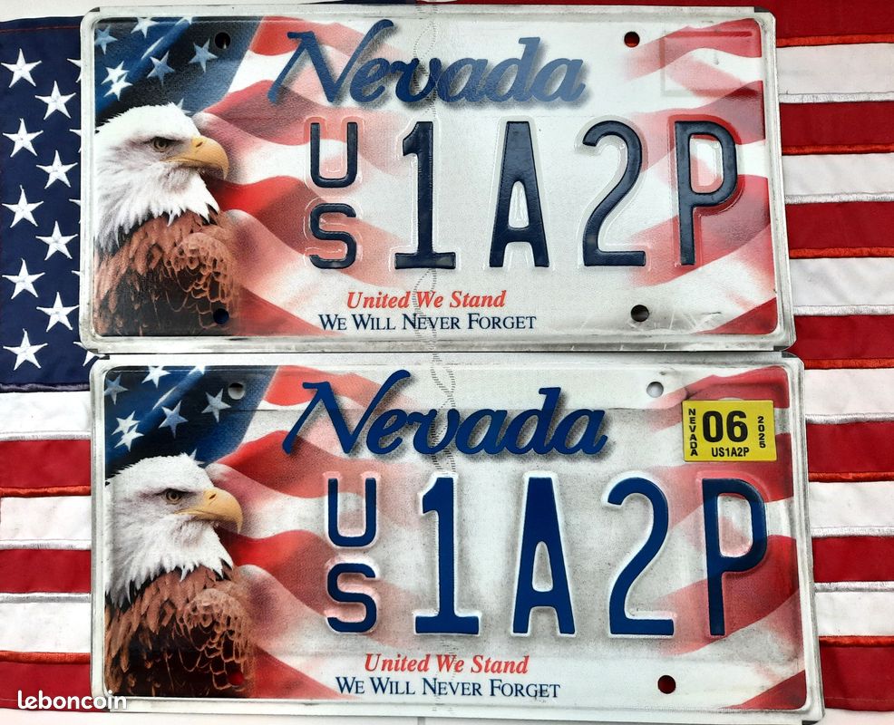 ÉCHANTILLON DE PLAQUE D'immatriculation Graphique Nevada En Relief « Vs