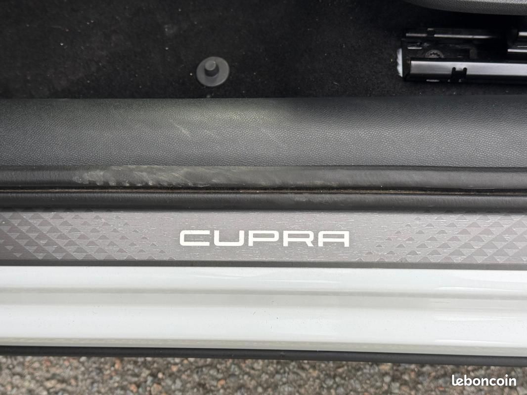 Cupra Formentor 2.0 TDI 150 ch DSG7 V (image 15)