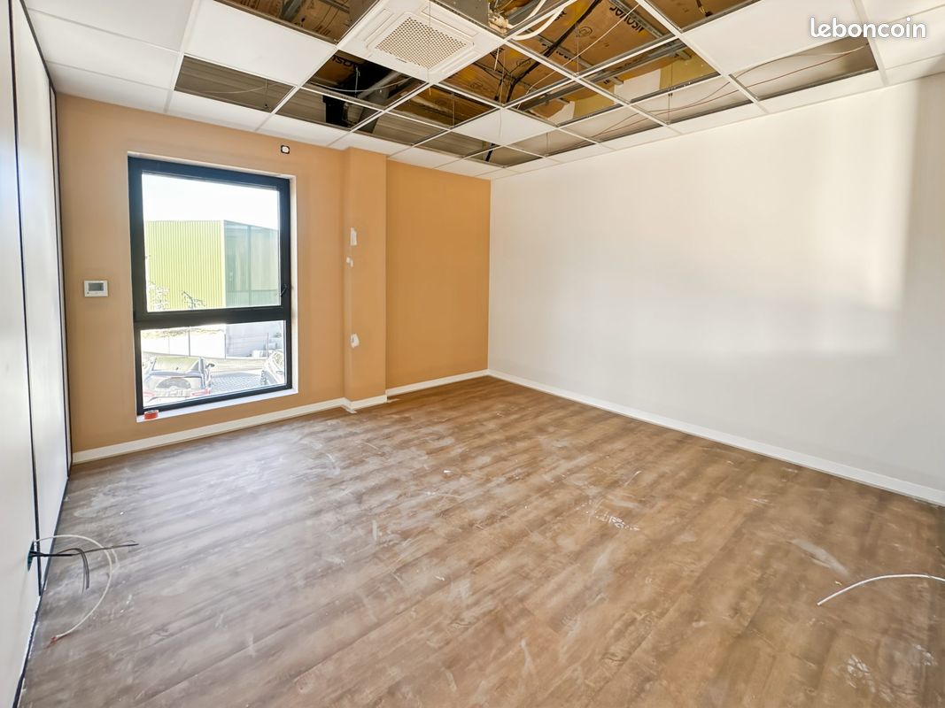 Local 540 m² Thurins (image 6)