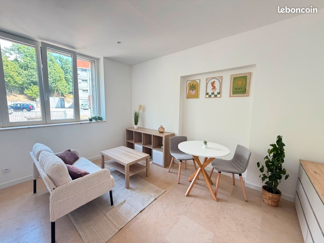 Appartement 1 pièce 24 m² · à Saint-Étienne · 24 m² · 529 €