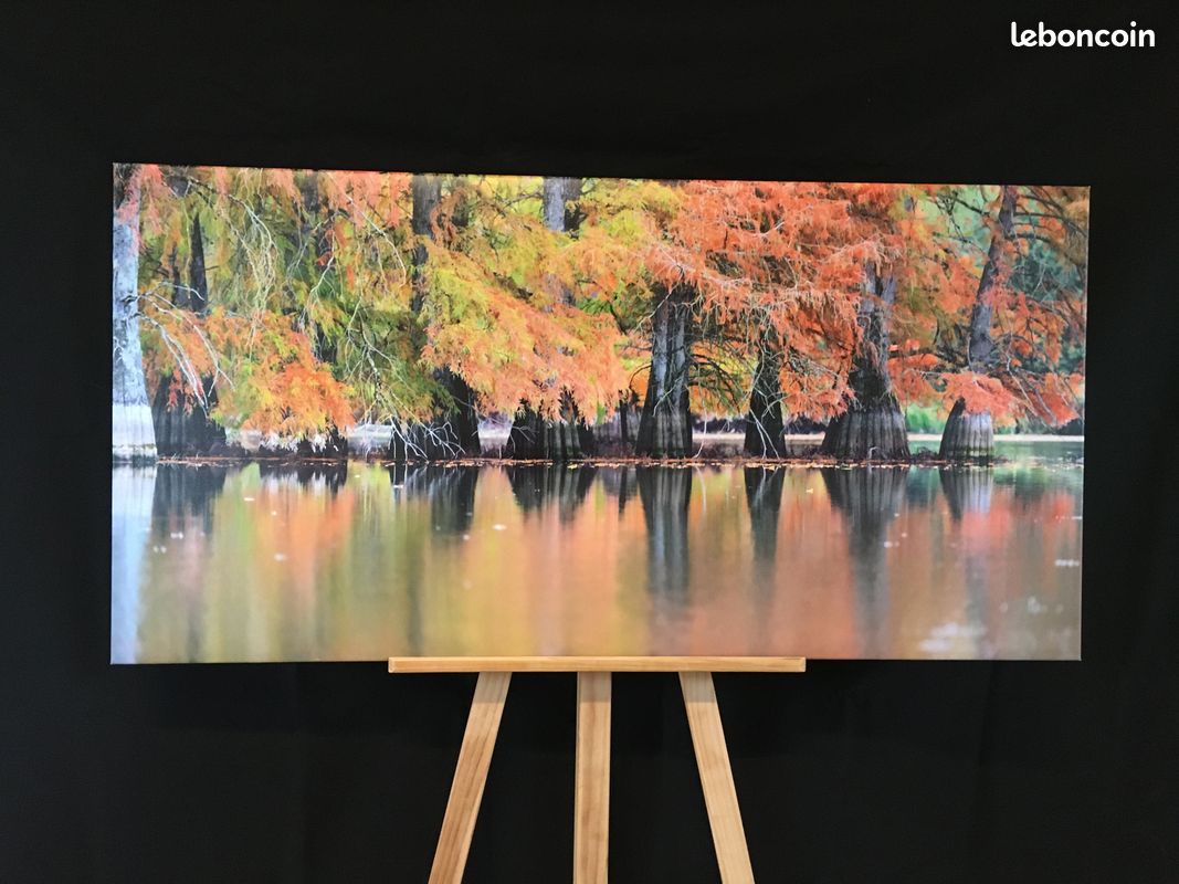 Photos imprimées sur toile cadre bois (image 1)