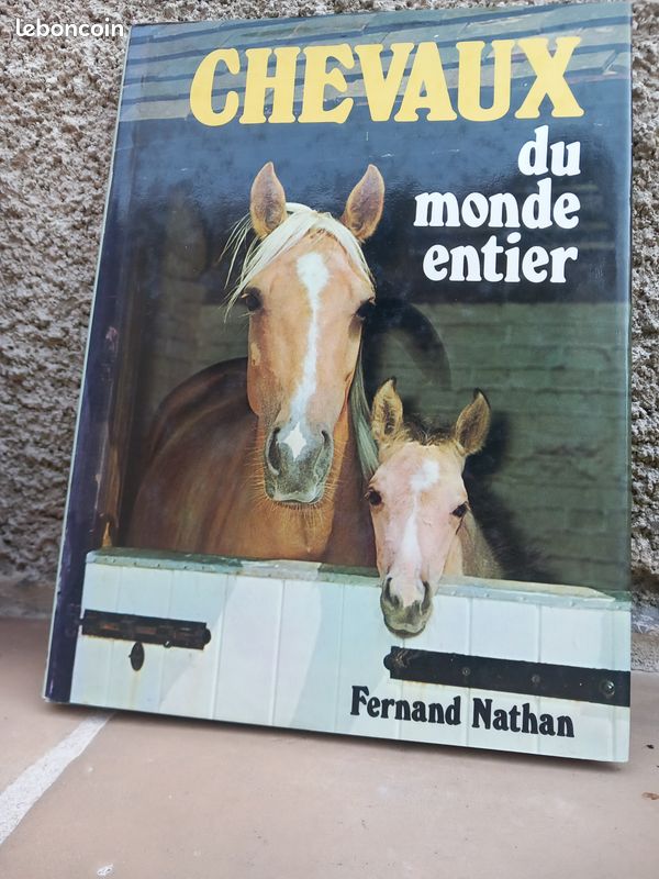 Chevaux du monde entier (image 1)