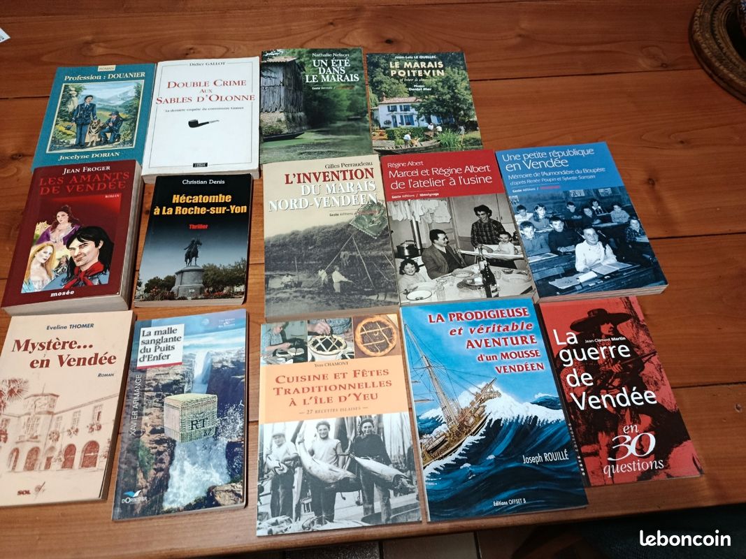 Lot de divers livres sur la vendee (image 5)