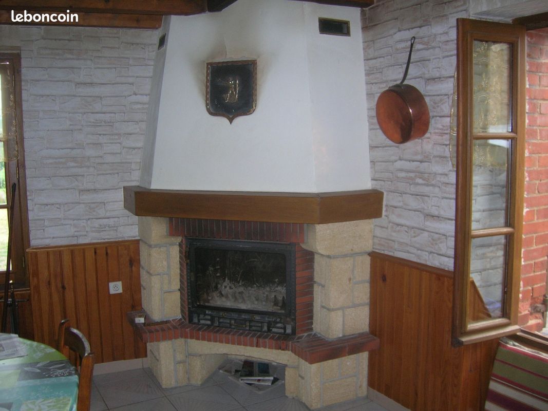 Cheminée avec insert (image 1)