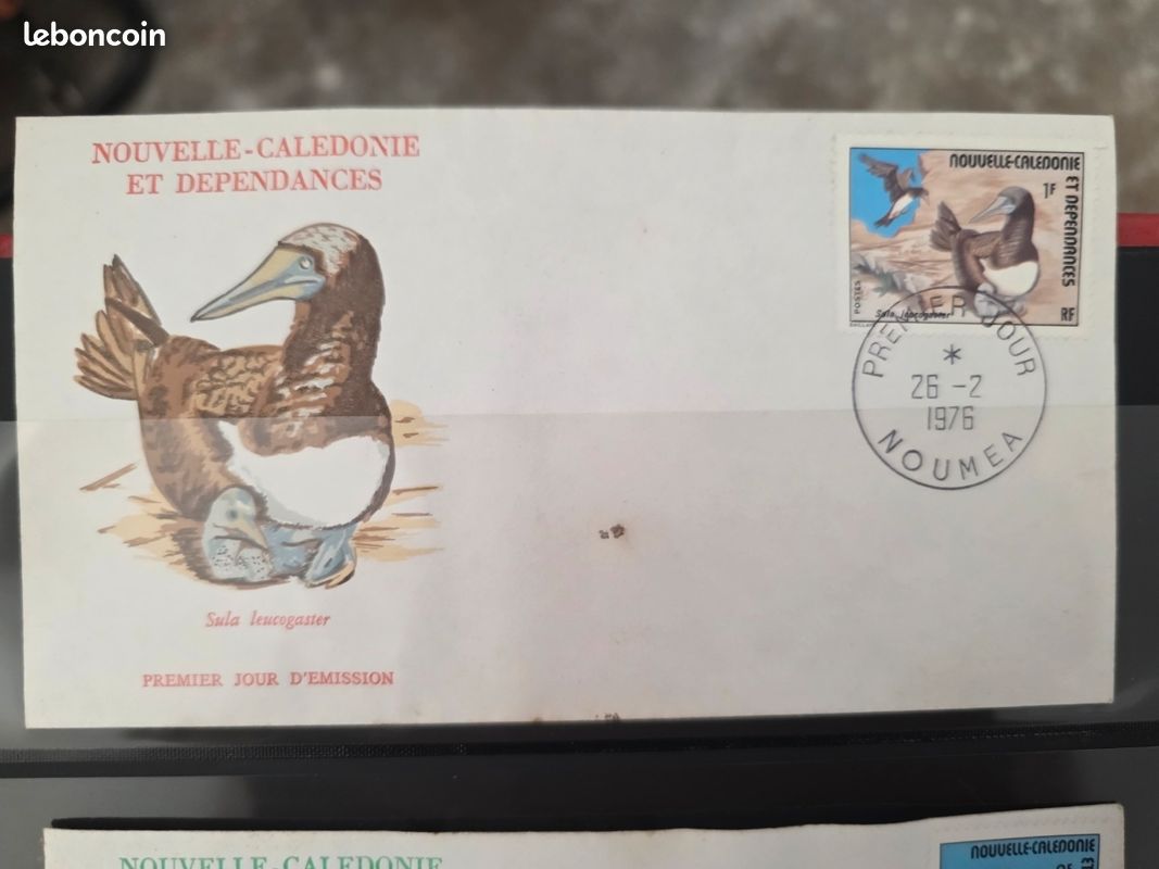 Pièce 100 francs Nouvelle Calédonie 1976 - Collection