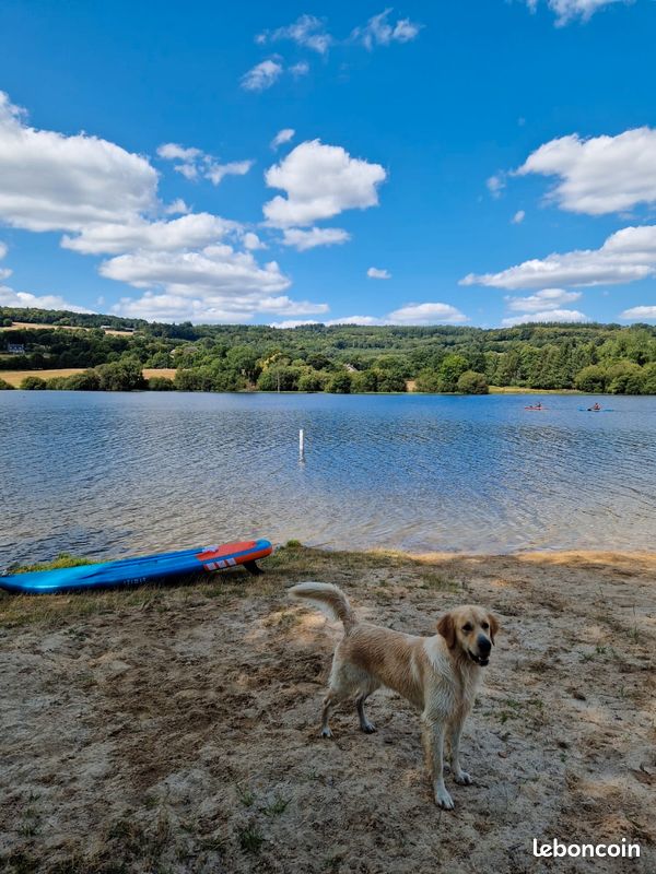 Paddle (image 2)