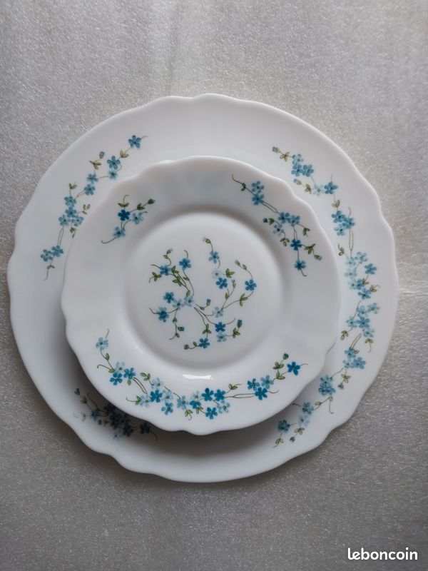 Service desserts ARCOPAL myosotis (image 6)