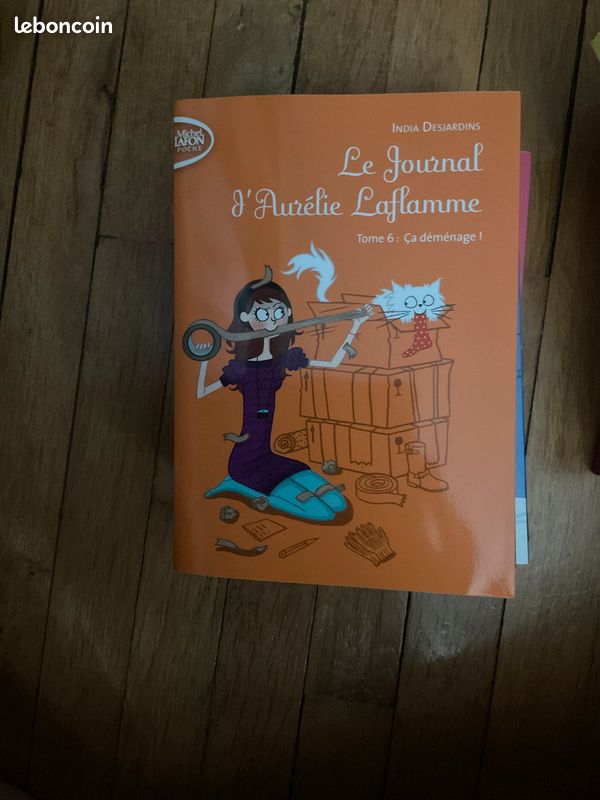 Intégrale du Journal d’Aurélie Laflamme (image 7)