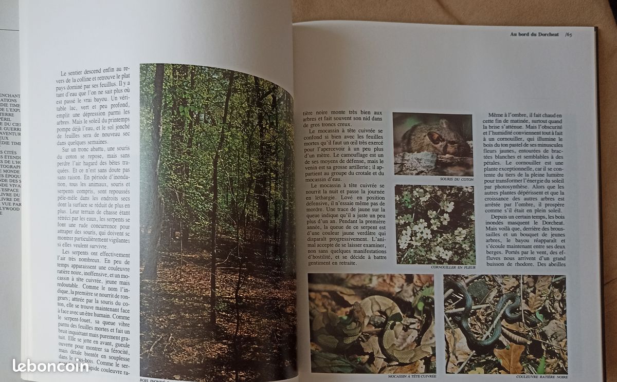 Sciences et nature Louisiane (image 2)
