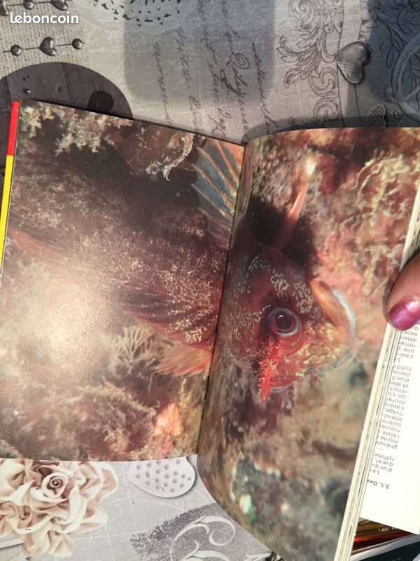 Livre sur la faune du littoral (image 5)