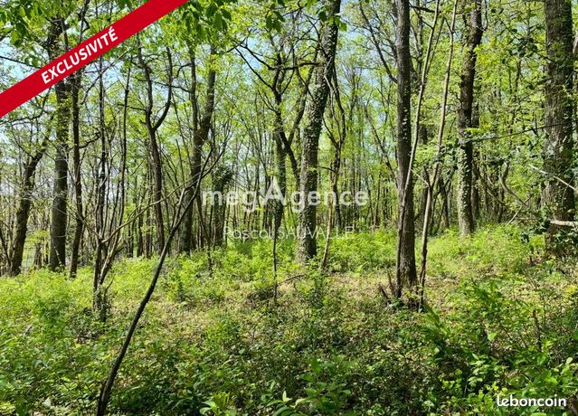 Terrain 4400 m² CHANCELADE
