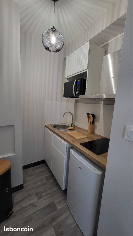 Studio meublé - Limoges 87000 Centre-Hôtel de Ville Emailleurs (image principale 2)