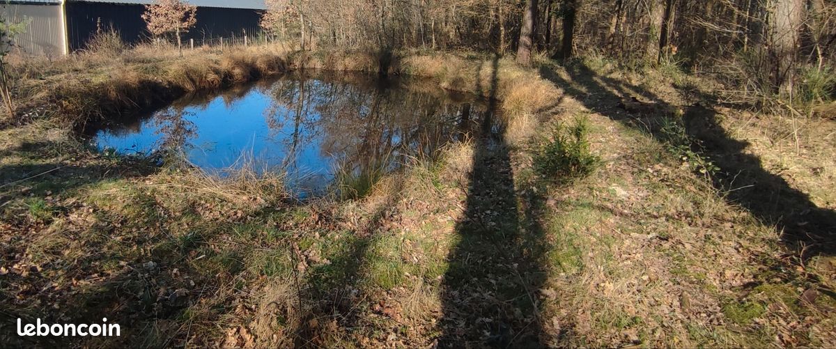Terrain de loisirs avec maisonnette et mare · à Châtellerault · 18 000 €