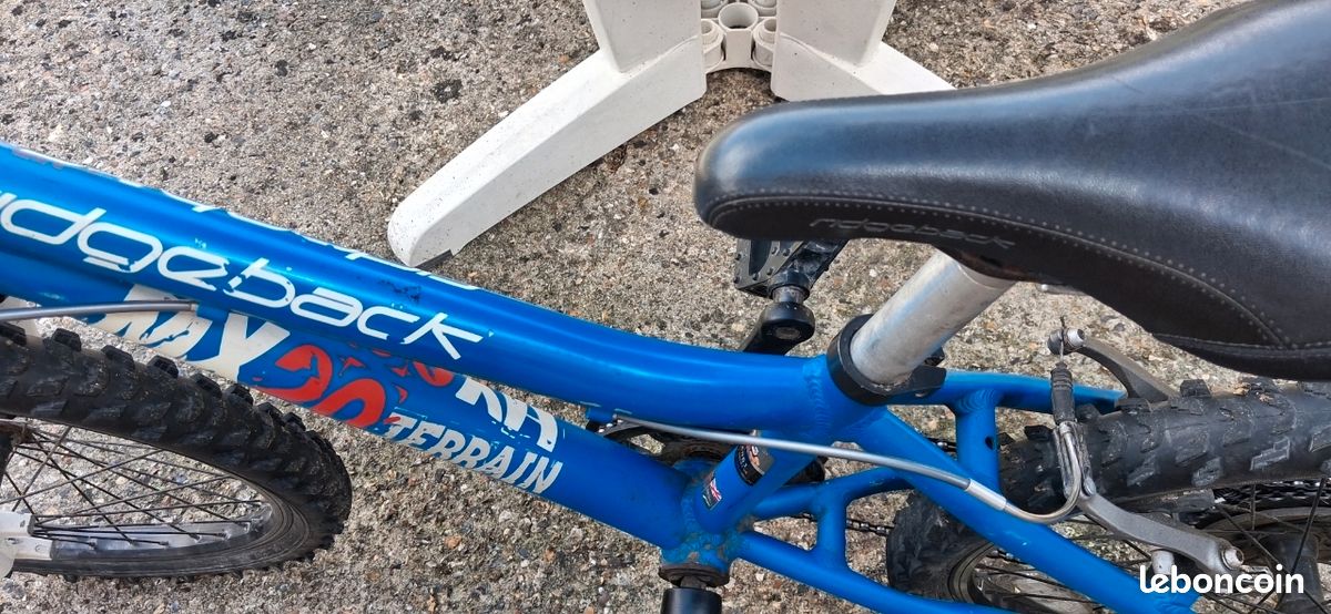 Vélo VTT enfant 20 pouces bleu (image 4)