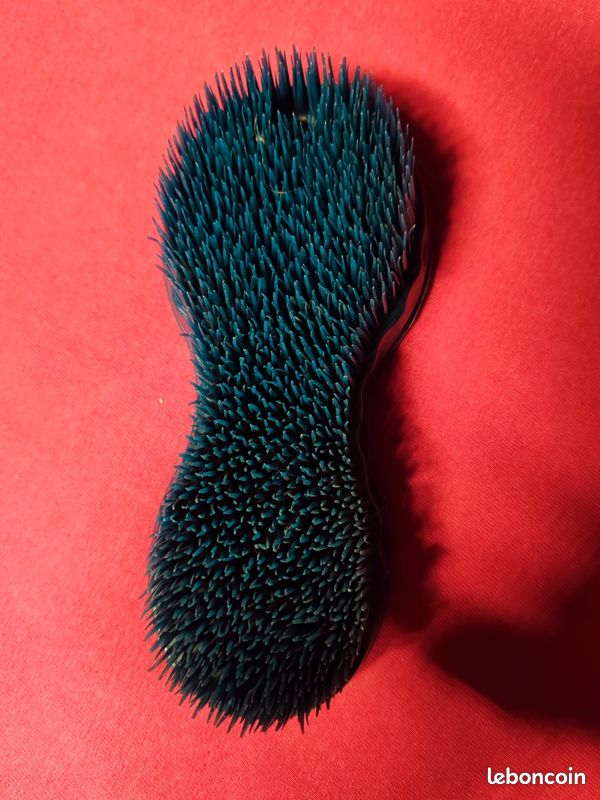 Brosse magique (image 2)