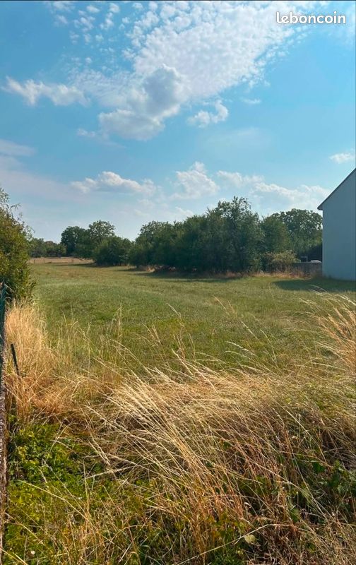 Terrain constructible viabilisé 2 493 m² – Freybouse – 80 000 · 80 000 €