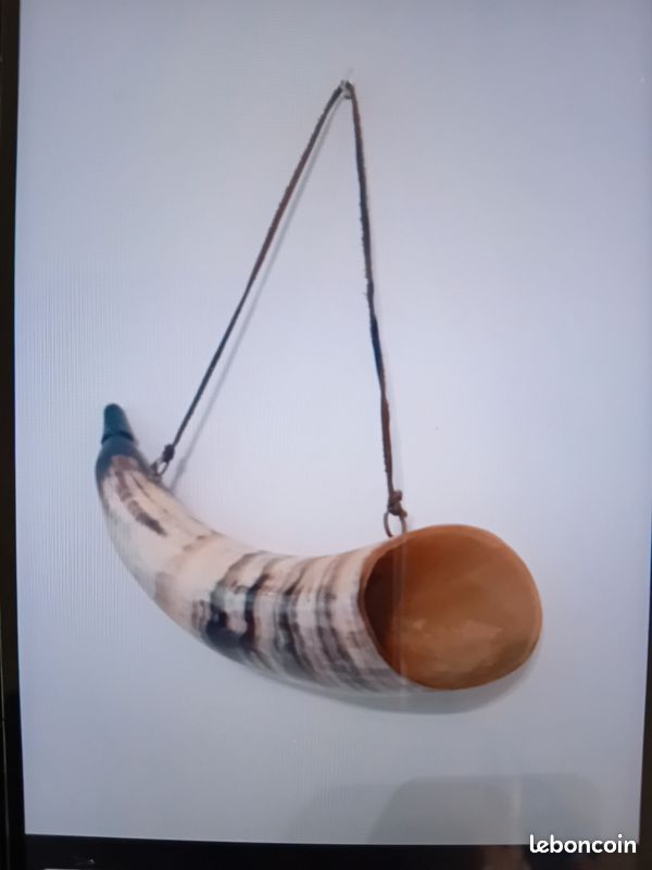 Corne de chasse (image 2)
