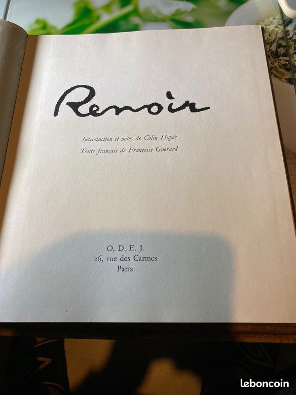 Livre peintre renoir (image 2)