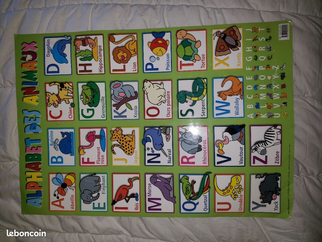 Posters d'apprentissage (image 3)