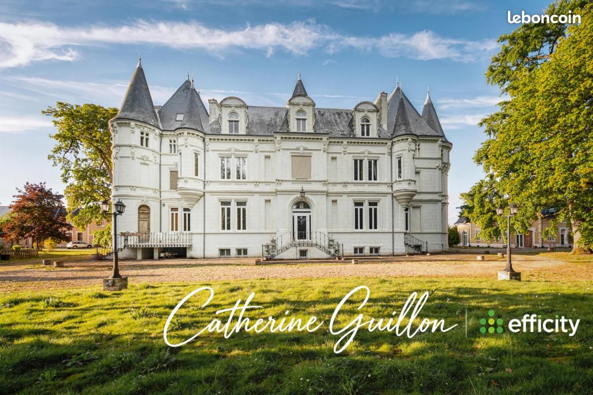 Maison 18 pièces 560 m² · à Ingrandes · 560 m² · 4 100 000 €