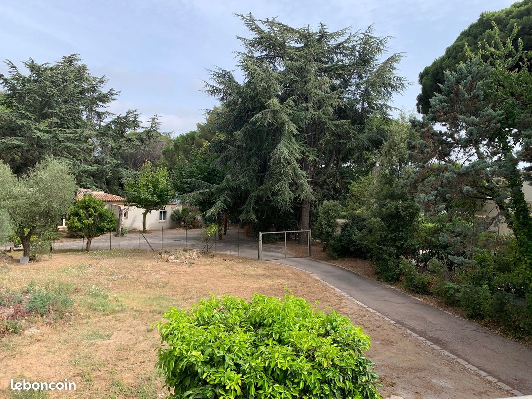 Mas Provençal bord de mer, terrace vue mer, Grimaud (image 16)