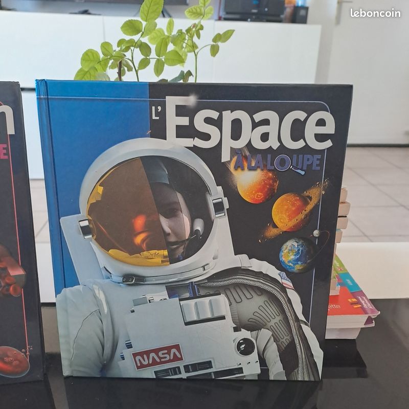 Lot de 2 livres jeunesse (image 4)