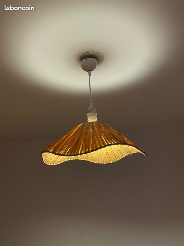 Leroy Merlin - Suspension Laxford papier / raphia, beige, Diam.40 cm, E27 (image 1)