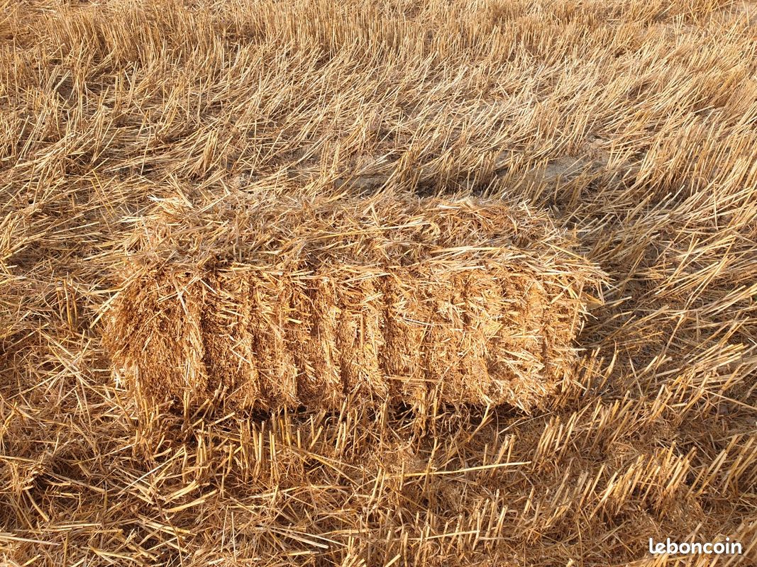 Botte de paille (image 2)