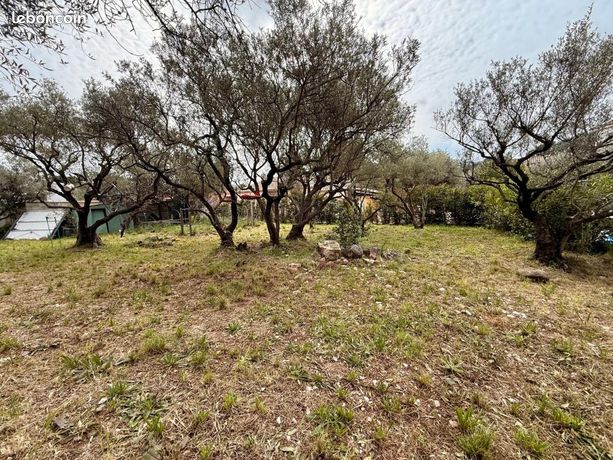 Terrain 438 m² Sollies Pont