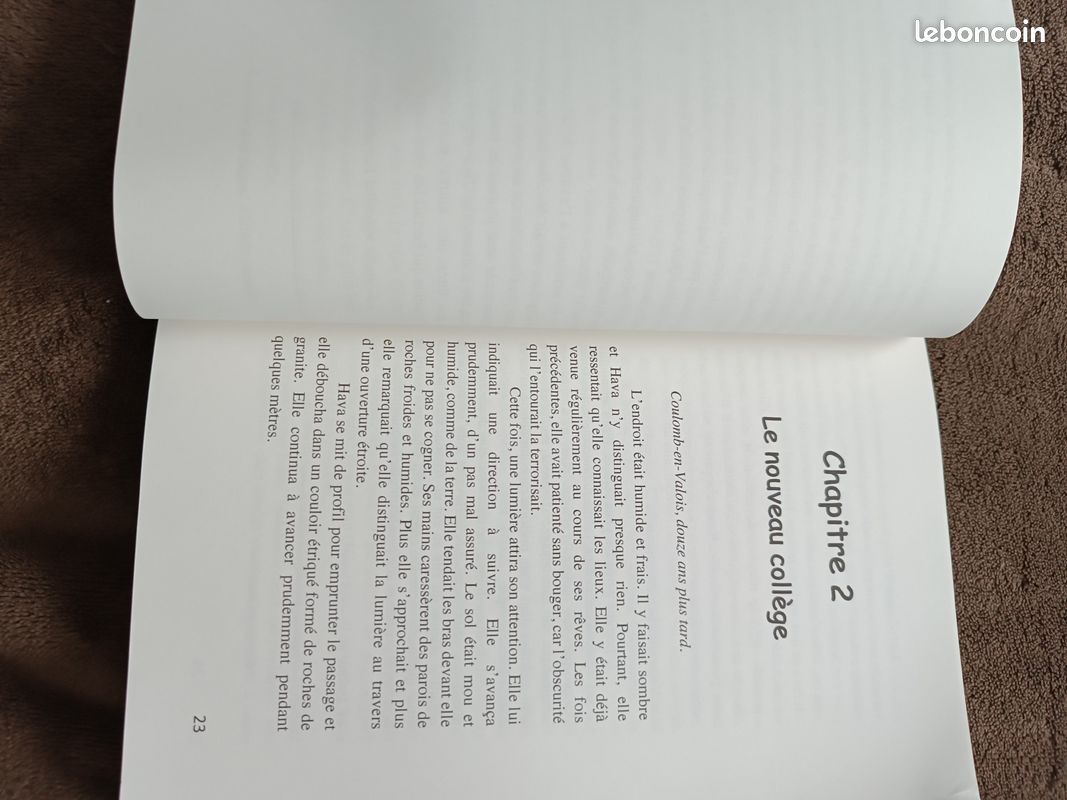 Les Elementaux (image 3)