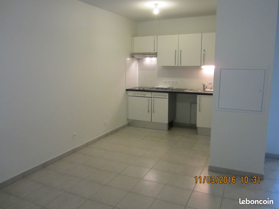 T2 (image 2)