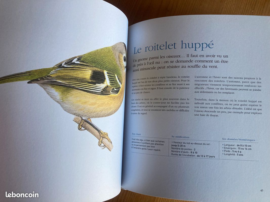 Les oiseaux de mon jardin. Les reconnaître, les accueillir (image 9)