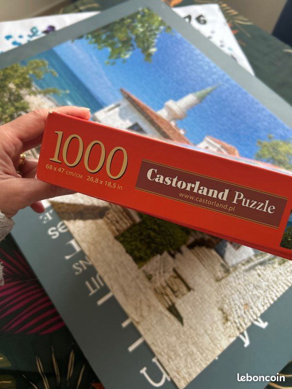 Puzzle 1000 pièces (image 3)