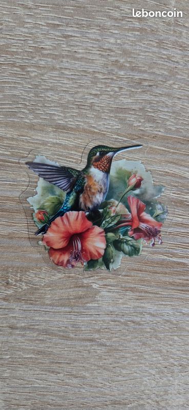 AUCEKO Lot De 50 Autocollants Colorés En Forme D'oiseaux - Aquarelle - Motif Moineau - Pour Journal Intime - Pour Scrapbooking - Fournitures