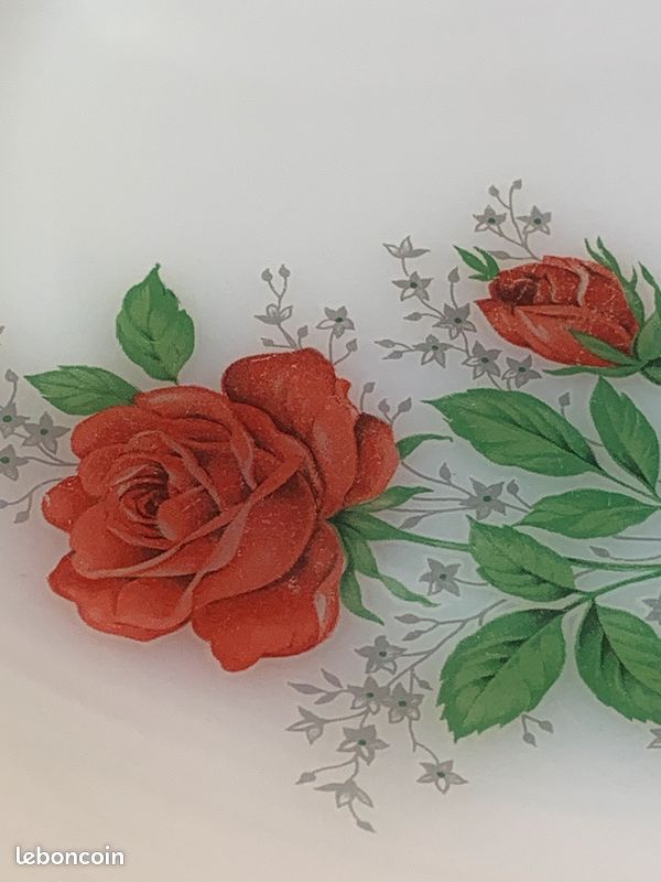 ARCOPAL 12 ASSIETTES Plates Roses Feuilles D'automne, Opale, Vintage, 23cm EUR 36,00 - FR