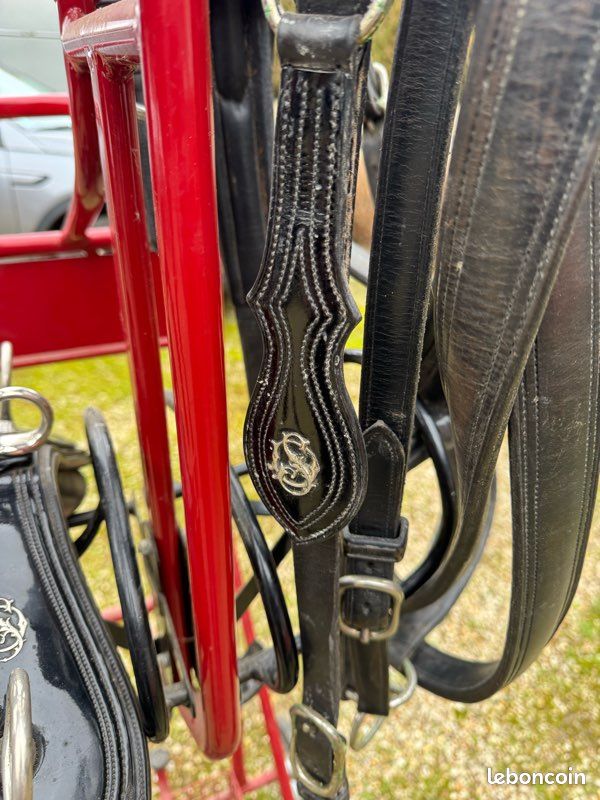 Harnais de cheval en cuir - Canada