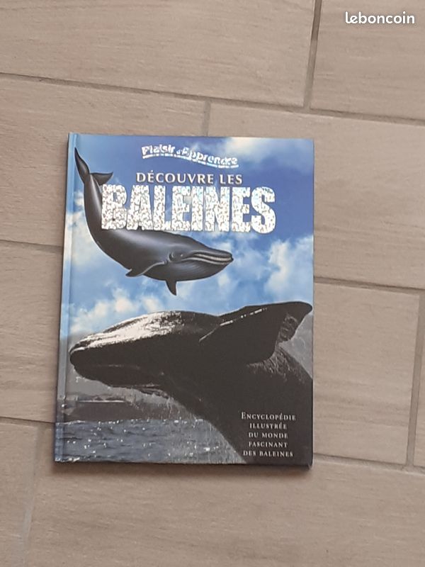 Beau livre sur les baleines (FA57) (image 1)