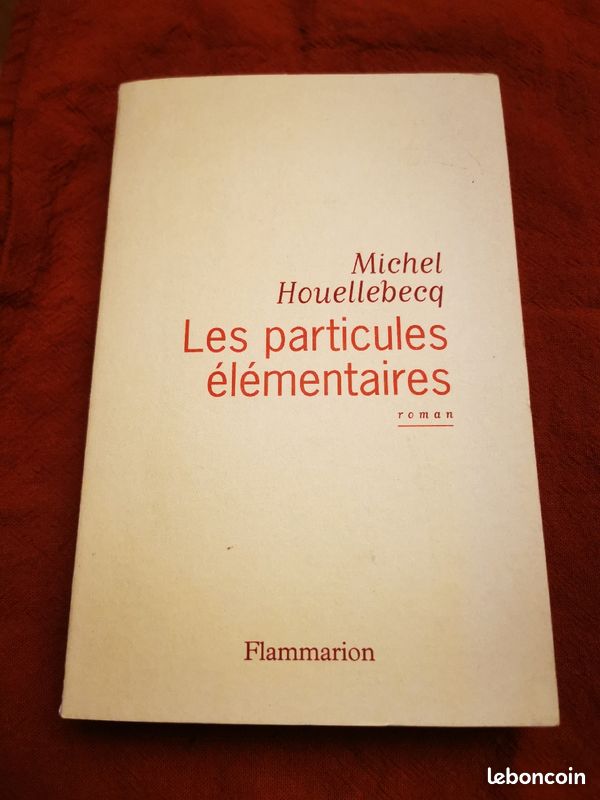 Les particules élémentaires (image 2)
