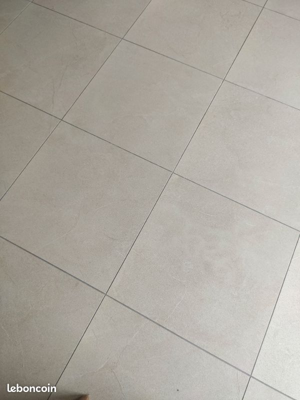 5 carreaux rectifiés 59x59 (image 2)