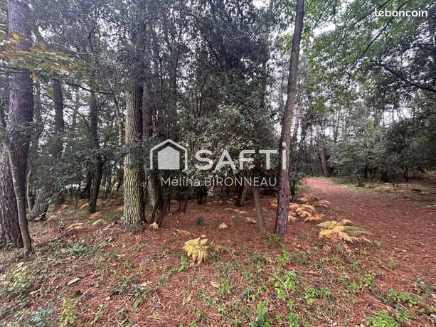 Terrain 500 m² JARD-SUR-MER