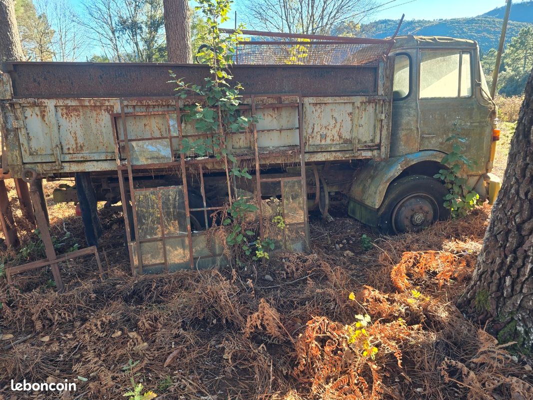 Collection - Camion bétaillère BERLIET GAK,verte et jaune