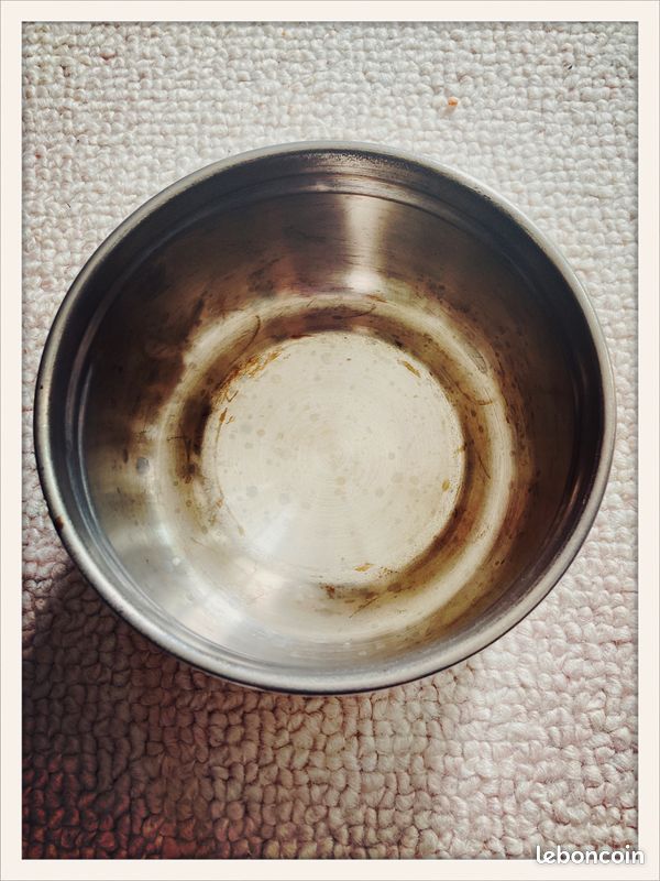 Thermid, thermos ancienne (image 6)