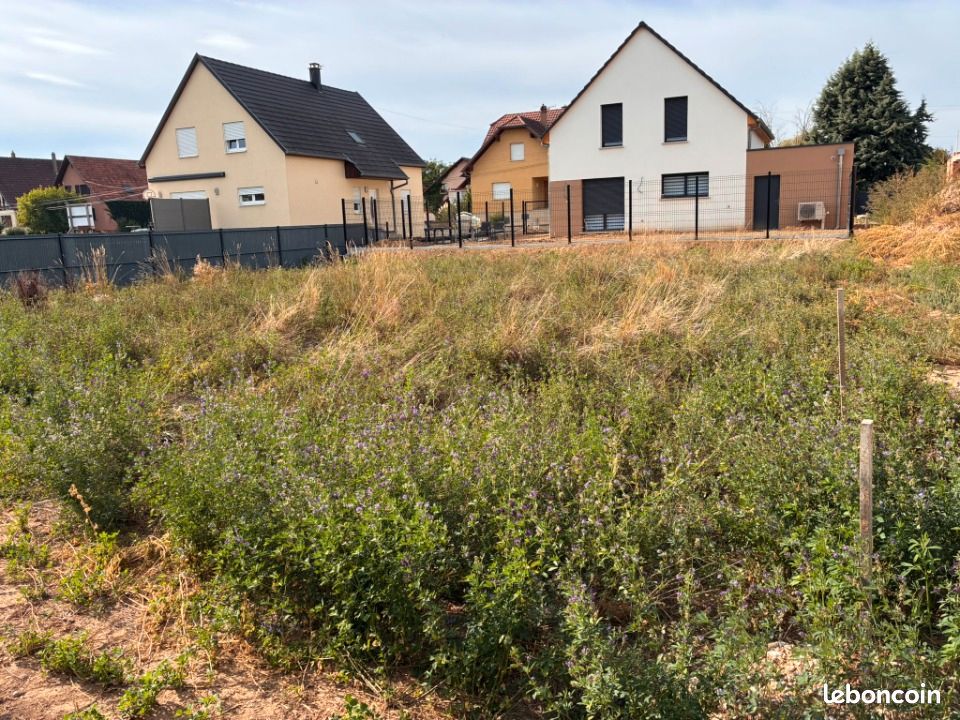 Terrain 437 m² · à Ebersheim · 115 000 €
