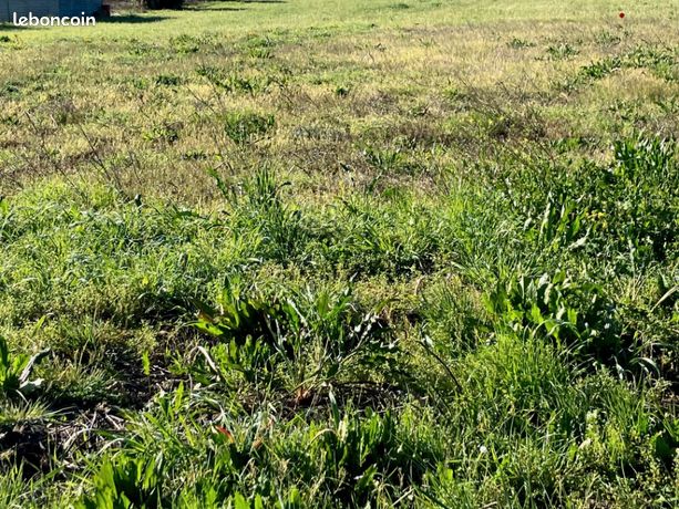 Terrain 2 000 m² Ternant