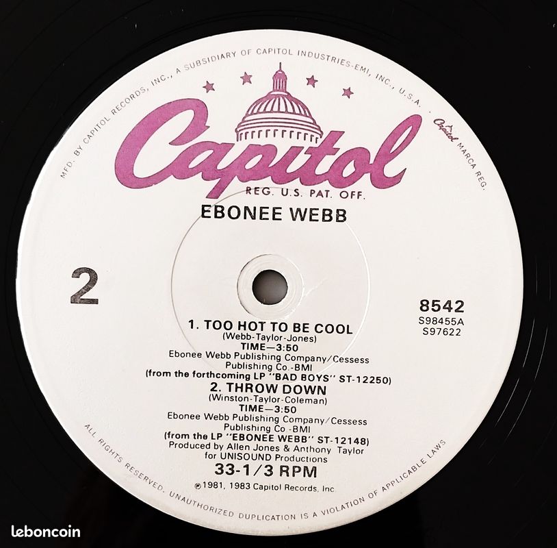 Ebonee Webb - Too Hot To Be Cool (12") (image 3)